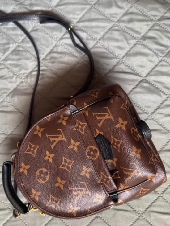 Louis Vuitton palm spring mini backpack main image 5